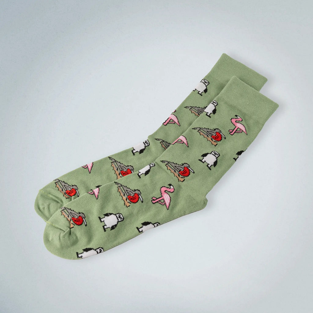 Galapagos bird socks