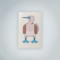 Sticker de Piquero Patas Azules