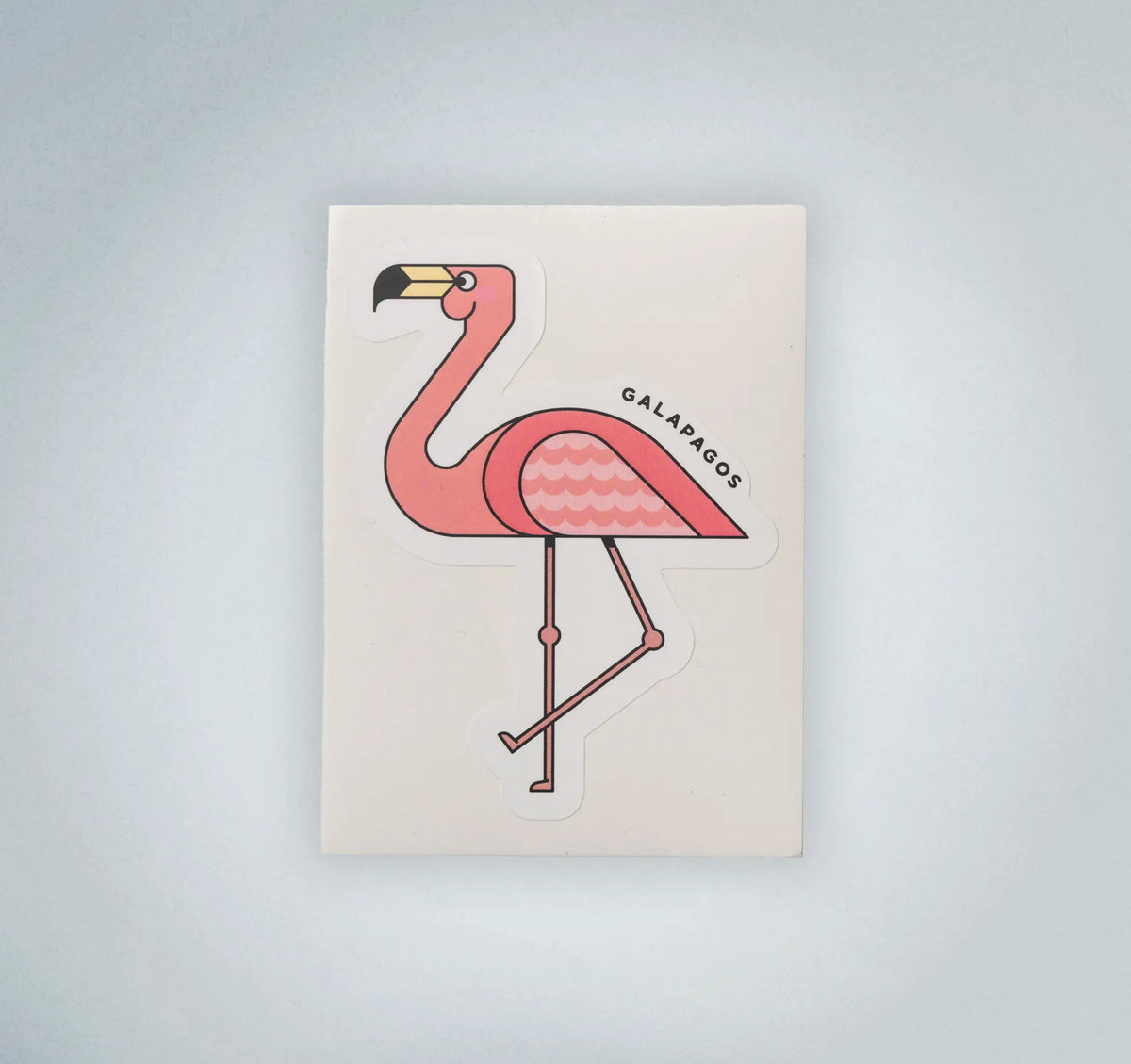 Galapagos Flamingo Stickers
