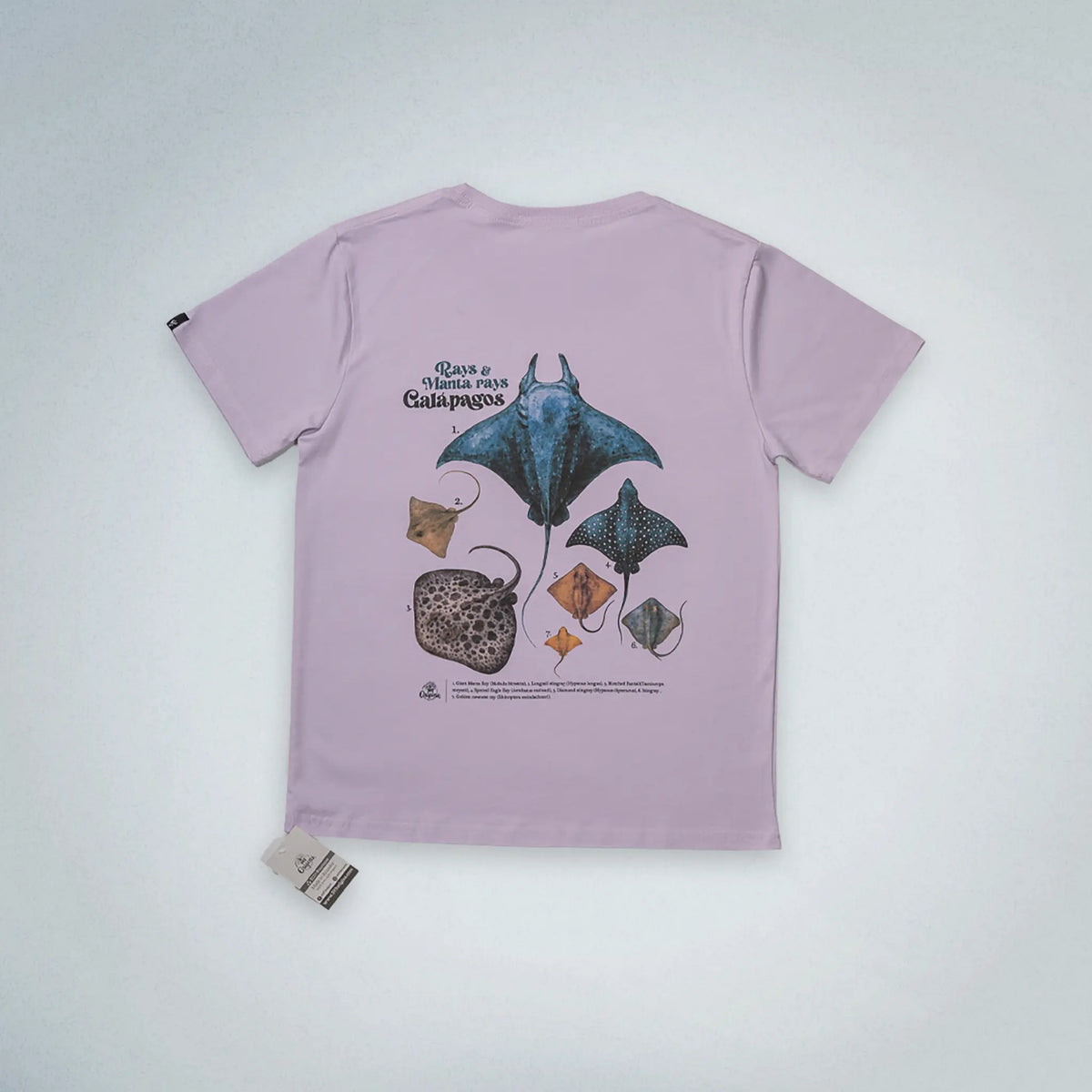 Camiseta mantarrayas