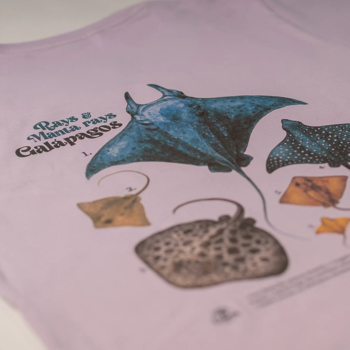 Camiseta mantarrayas
