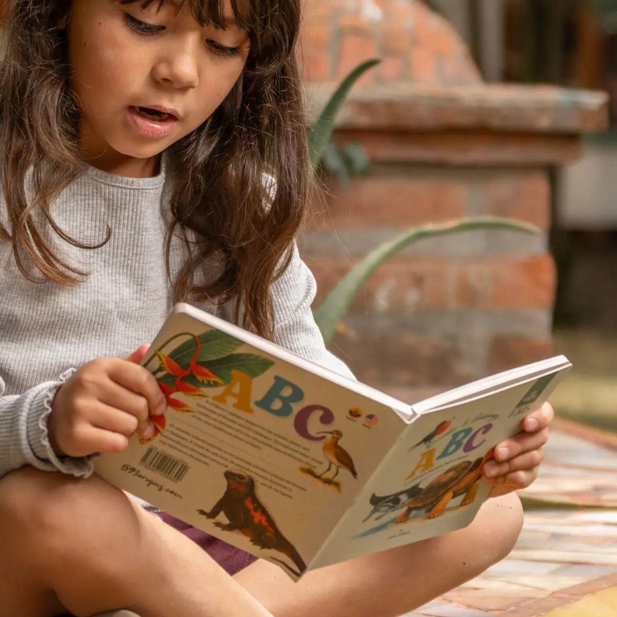 Ecuadorian species ABC Book