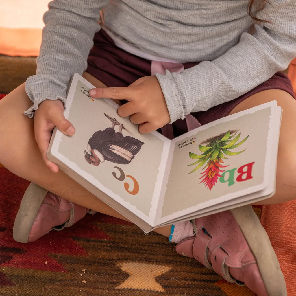 Ecuadorian Species ABC Book