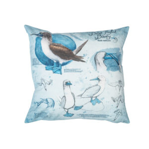Cushion Blue-footed booby