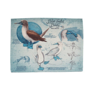 Placemat - Blue-footed booby
