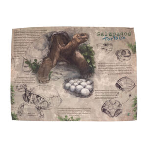 Placemat - Earth turtle