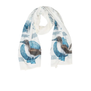 Chiffon-Scarf Blue-footed booby