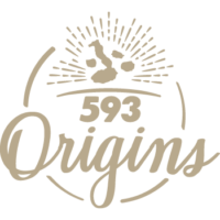 593Origins_logo 593Origins_logo